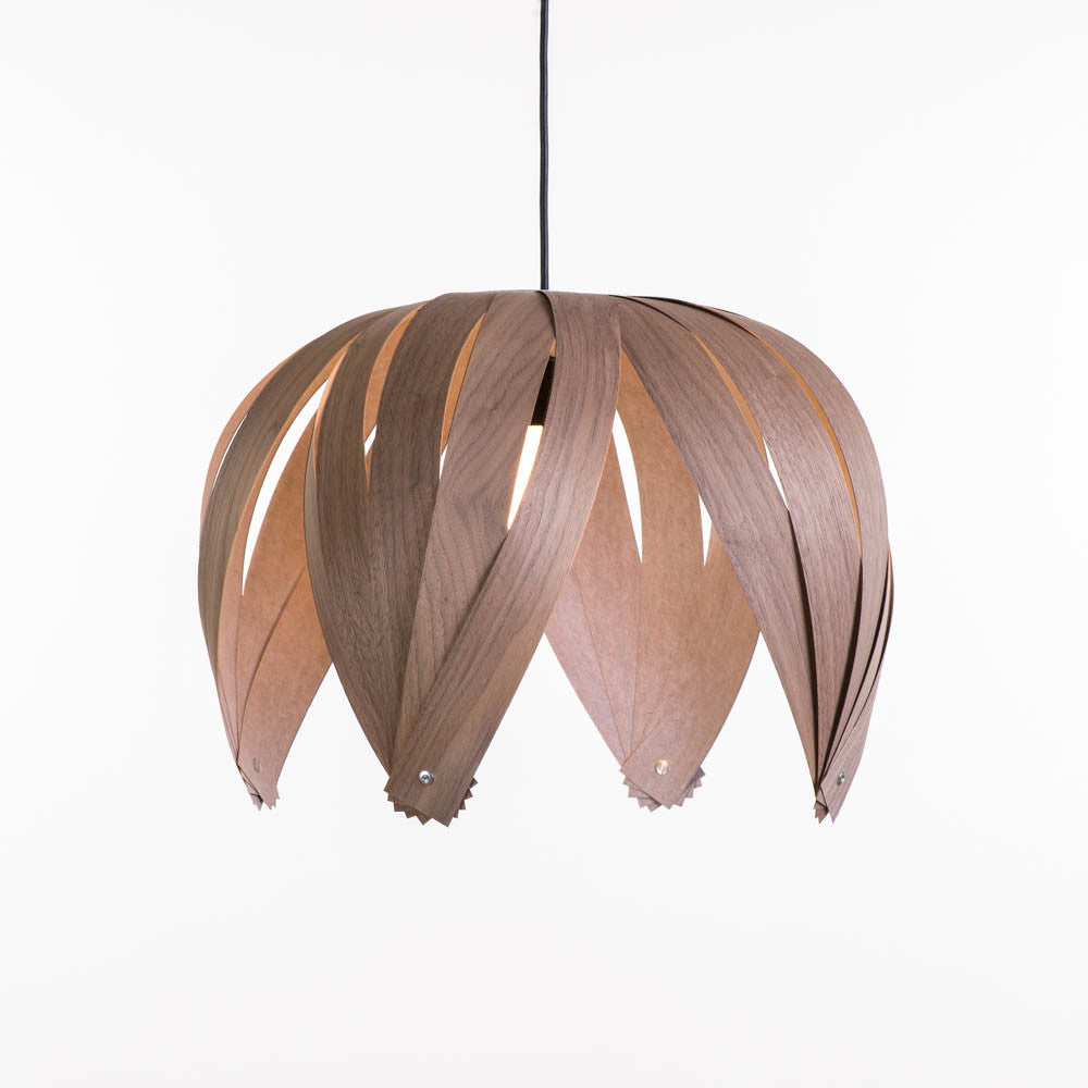 Ti-Fleur / Noyer