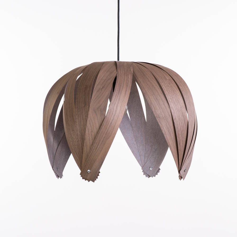Ti-Fleur / Noyer