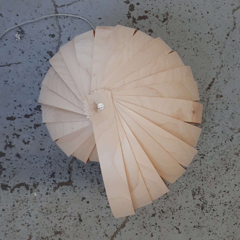 Caracol / Merisier blanc