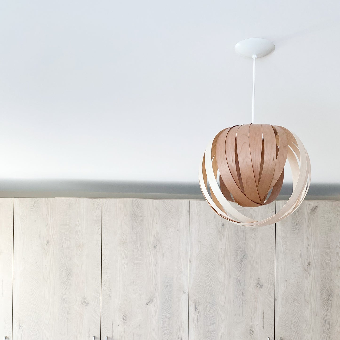 Noisette #3 / Mix of White and Red Birch