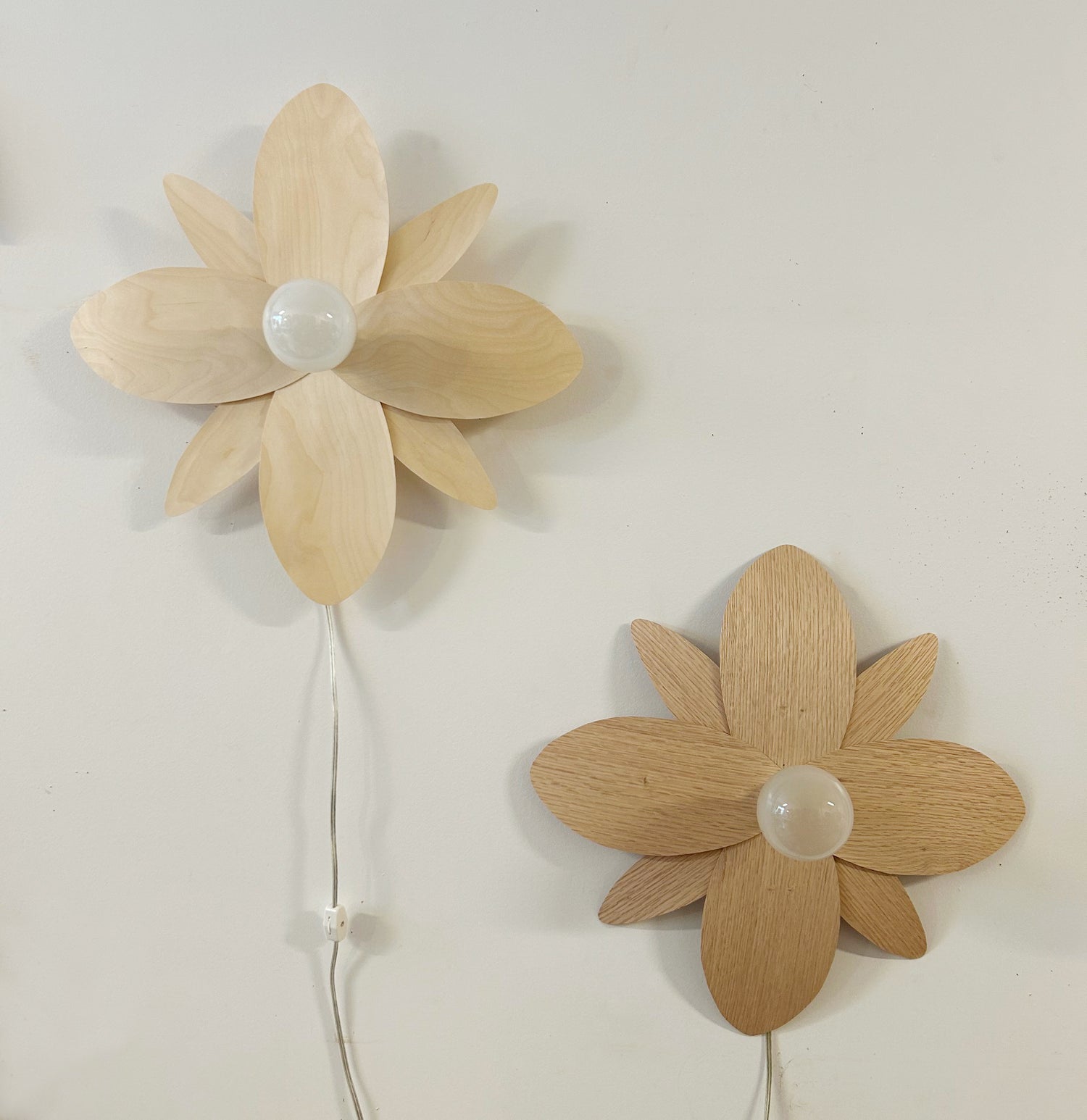 New PETULA Wall Lamps