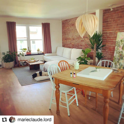 Noisette #1 / Merisier Blanc