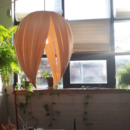 Gladys Large / Merisier blanc