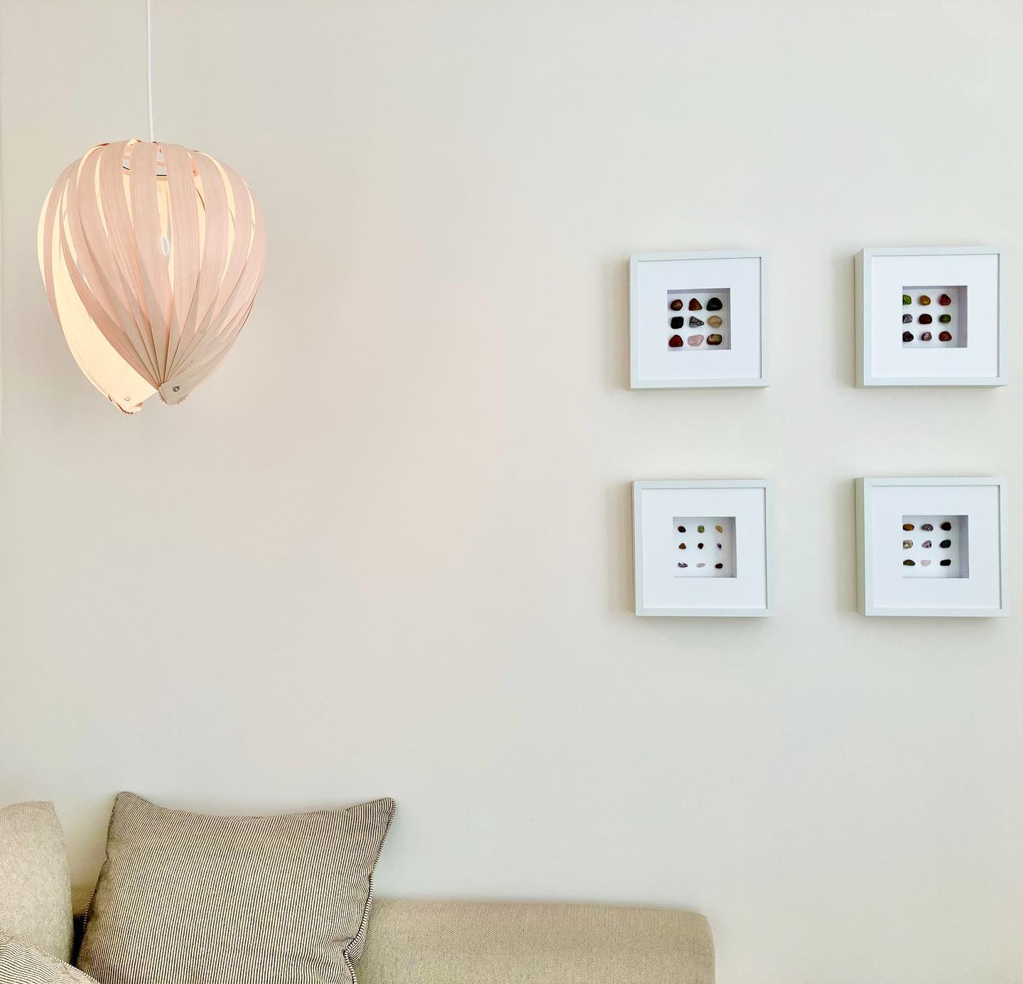Noisette #1 / White Birch