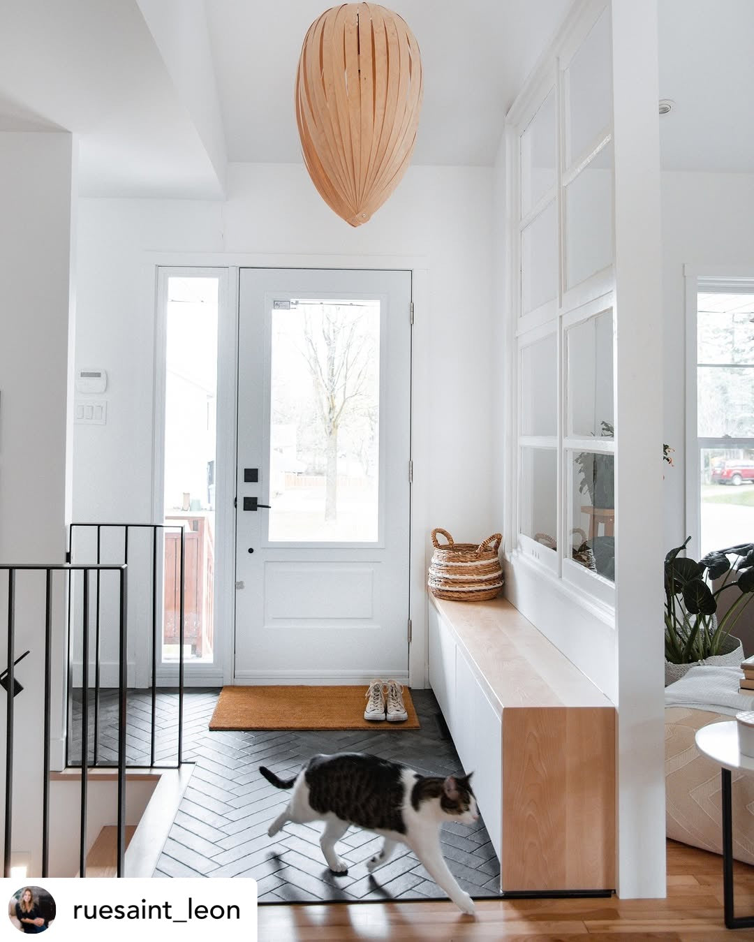 Gladys Large / Merisier blanc