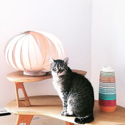 Caracol / White Birch