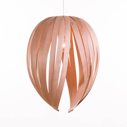 Gladys Large / Merisier rouge