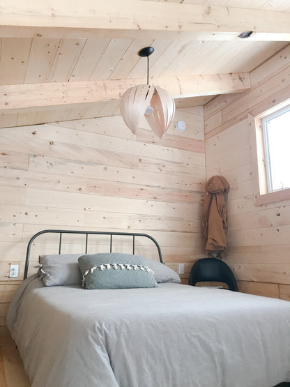 Noisette #1 / Merisier Blanc