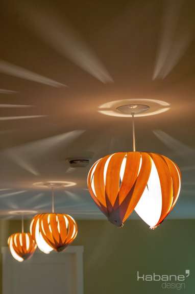 Noisette #2 / Chêne 