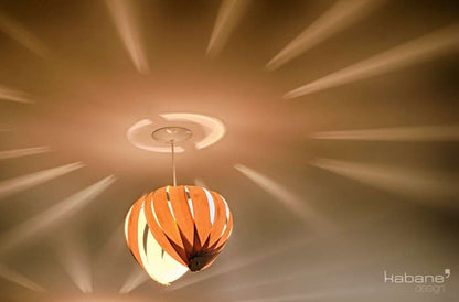 Noisette #2 / Chêne 