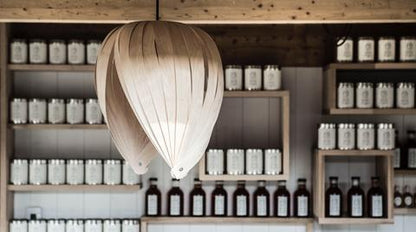 Noisette #1 / Merisier Blanc