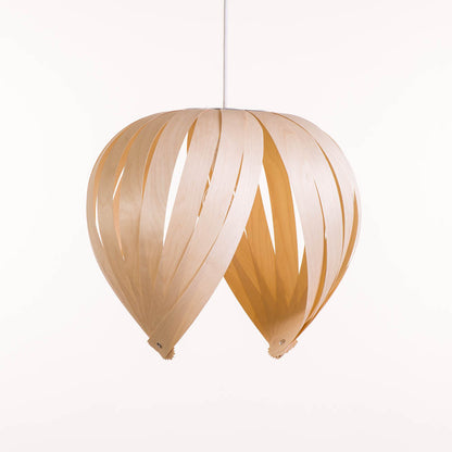 Noisette #1 / Merisier Blanc