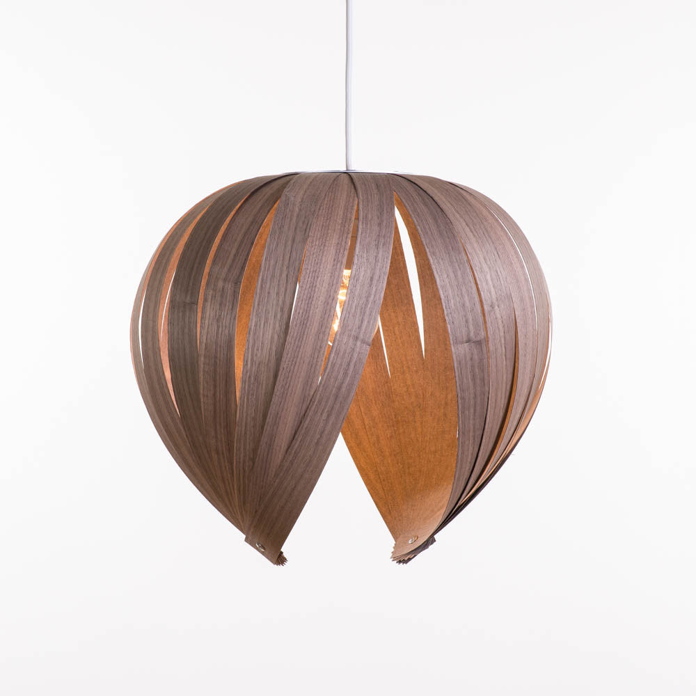 Noisette #1 / Walnut