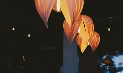 Noisette #1 / Merisier Blanc