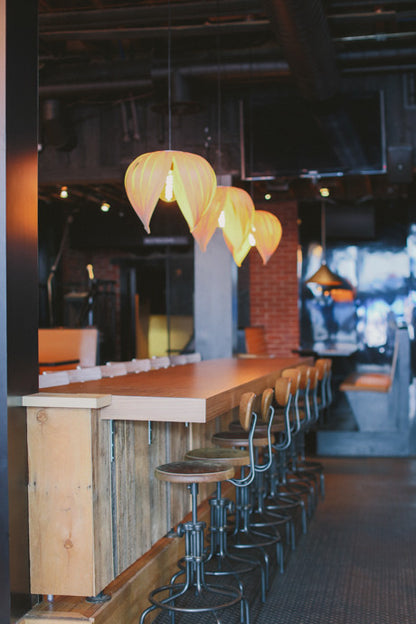 Noisette #1 / Merisier Blanc