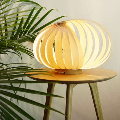 Caracol / White Birch