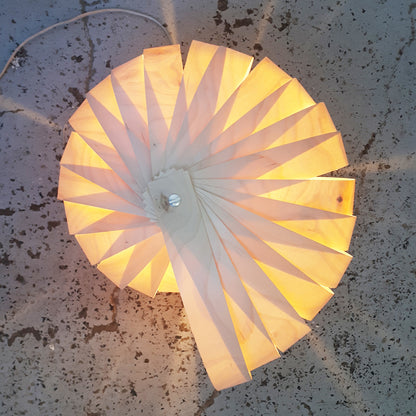 Caracol / White Birch