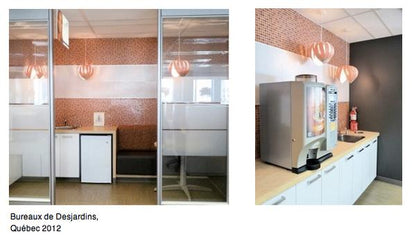 Noisette #2 / Chêne 