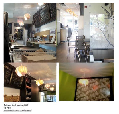 Noisette #2 / Chêne 